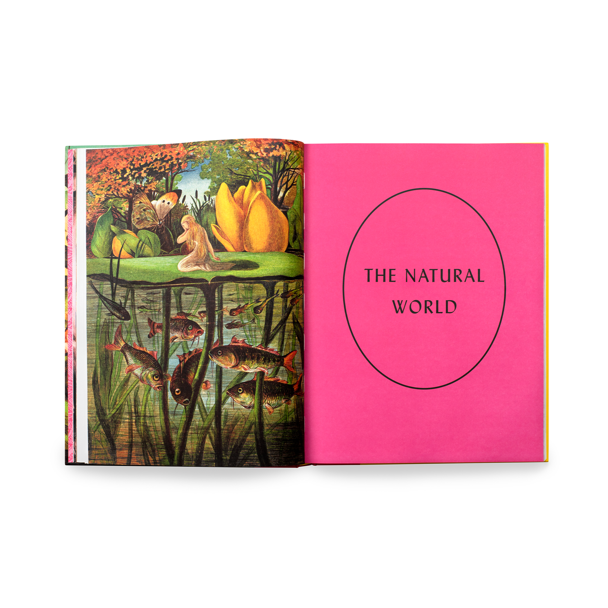 An interior section header of The Natural World, with an illustration of a miniature woman on a lilypad. 